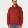 Bluza męska z kapturem i napisami ARIUS 4323 RED OCHRE