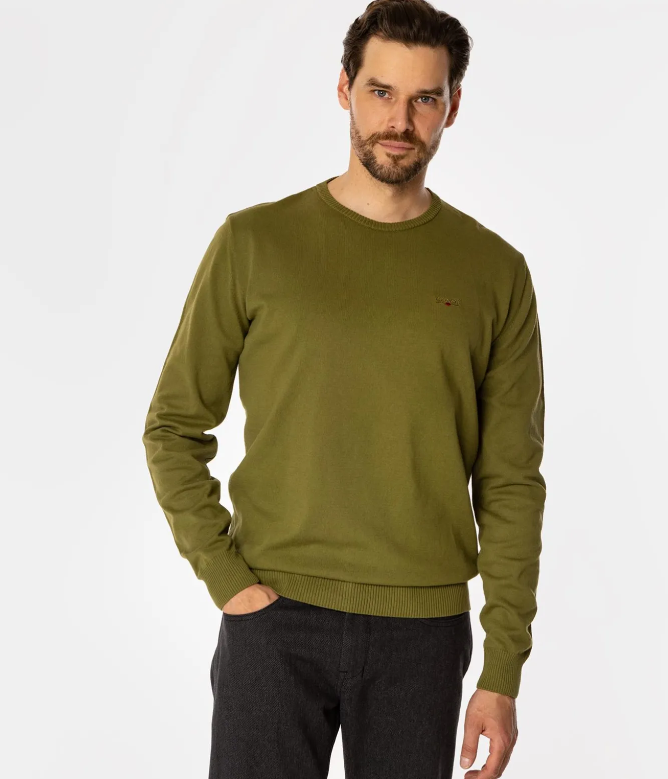 Sweter męski z bawełny organicznej ANDY ORGANIC SPHAGNUM